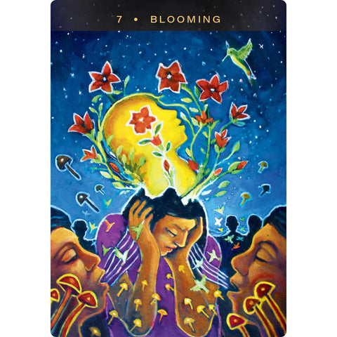 Sacred Mushroom Oracle Cards 44-Card Deck & Guidebook by Hay House