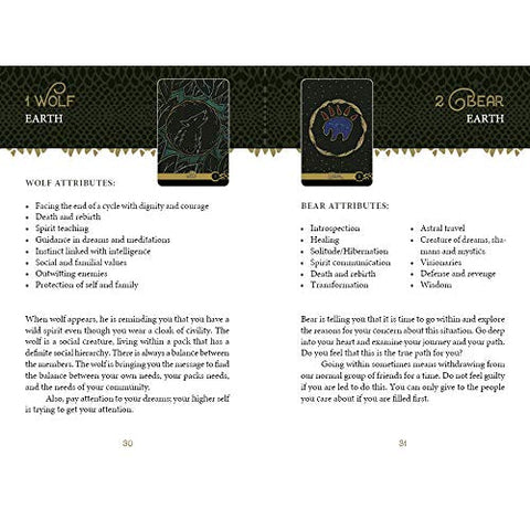 Wild Elemental Oracle Animal Spirit Cards Deck & Guidebook 44-Card Set