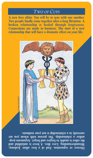 Quick & Easy Tarot Deck 78 Cards with Meanings, Beginner Set US Games