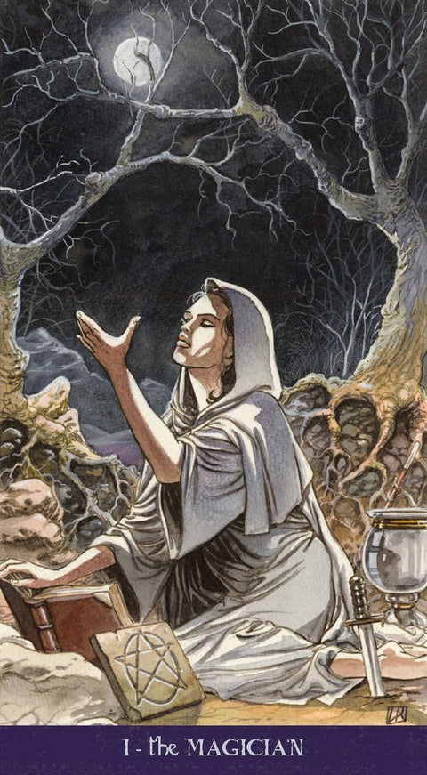 Pagan Tarot Deck by Lo Scarabeo 78 Cards Wicca Neo Pagan Divination