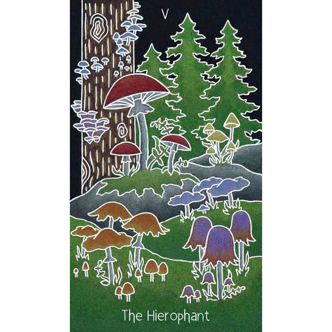 Animystic Tarot Deck 78 Cards & Guidebook Nature Magic by Red Feather