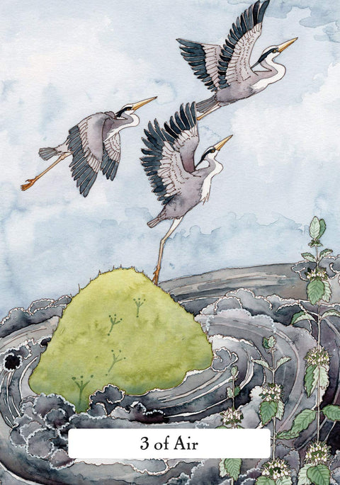 The Witches' Wisdom Tarot Card Deck & Guidebook by Phyllis Curott