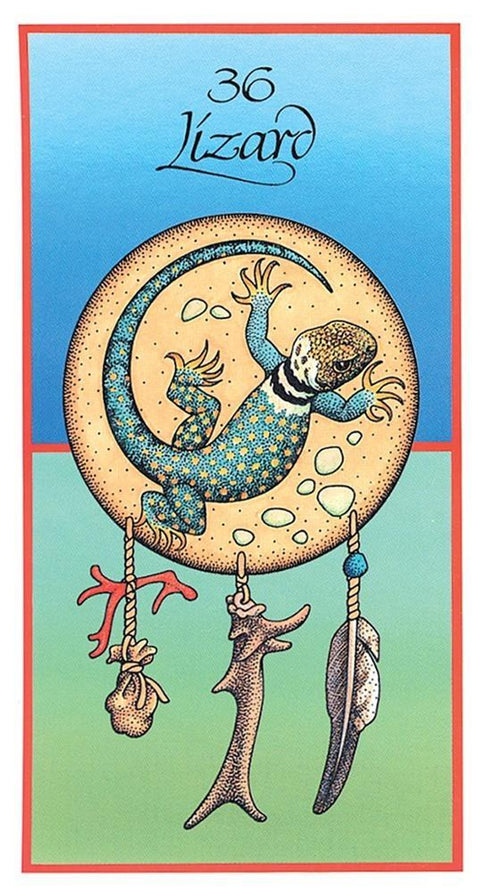 Medicine Cards Deck And Book Set Esoteric Telling Animals