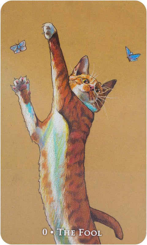 Scorpio Sea Tarot Cards Deck & Book Set Llewellyn Maggie Stiefvater Cynova NEW