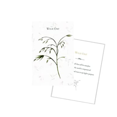 Listening To Flowers Positive Affirmations Oracle Cards Schiffer Publishing NEW