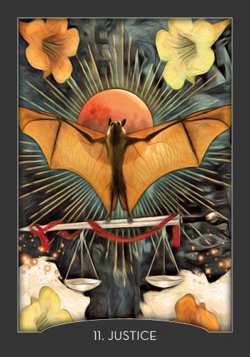 Guardian of the Night Tarot Deck & Signed Guidebook – Animal Spirit Cards