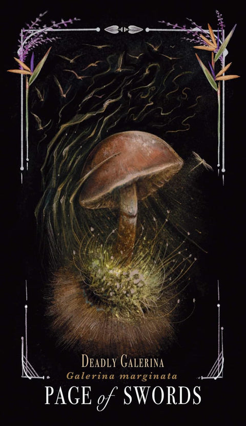 Midnight Magic Mushroom Tarot Card Deck by Sara Richard Adams Media