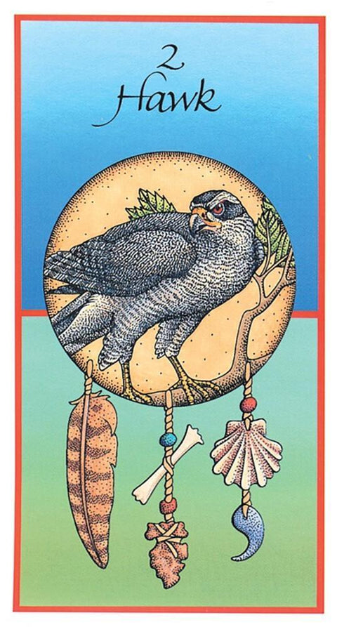 Medicine Cards Deck And Book Set Esoteric Telling Animals