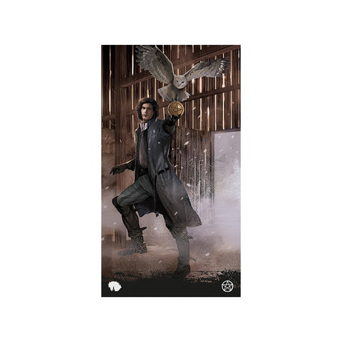 Tarot of the Haunted House 78-Card Deck by Lo Scarabeo Sasha Graham