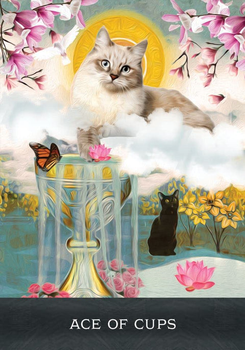 Grimalkin'S Curious Cats Tarot Cards Deck & Guidebook