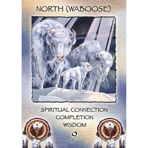 Spirit of the Wheel Meditation Oracle Deck by US Games, 40 Cards
