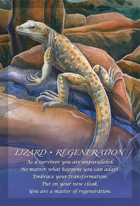 Spirit of the Animals Oracle Card Deck by Jody Bergsma US Games