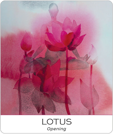 Nature & Soul Yoga Wisdom Cards Deck by US Games with Guidebook