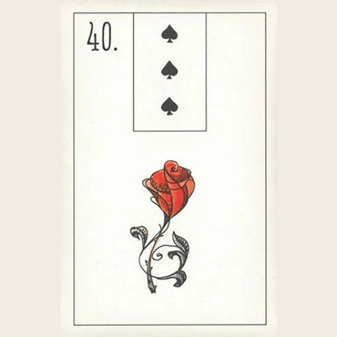 Maybe Lenormand Oracle Deck by Ryan Edward 52 Cards US Games Divination