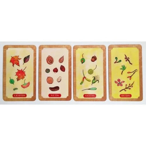 Tree of Life Oracle Card Deck 30 Cards with Guidebook by Schiffer