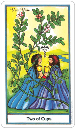 The Herbal Tarot Deck by Michael Tierra Candis Cantin 78 Cards US Games