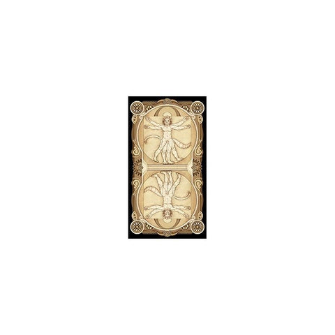 Cat Tarot Deck 78 Cards Lo Scarabeo Baraldi Marseille with Guidebook New
