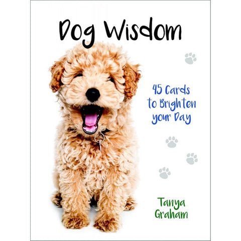 Dog Wisdom Deck Cards Esoteric Fortune Telling Blue Angel NEW