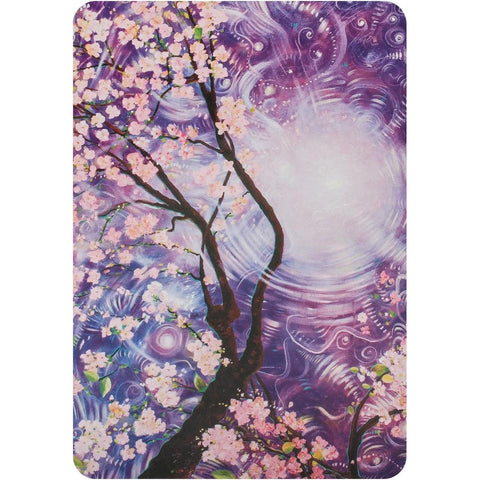 Namaste Blessing & Divination Oracle Cards Deck by Toni Carmine Salerno