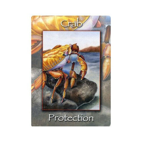 Nature'S Wisdom Oracle Deck Mindy Lighthipe Schiffer Publishing Sp022