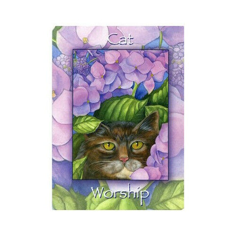 Nature'S Wisdom Oracle Deck Mindy Lighthipe Schiffer Publishing Sp022