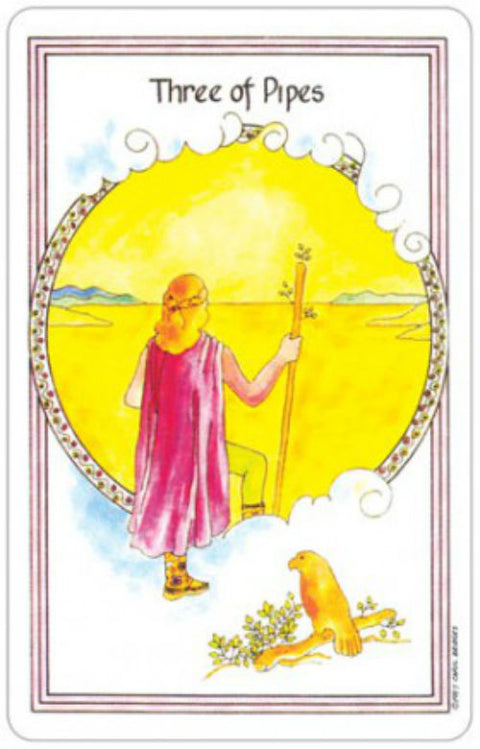 Medicine Woman Tarot Card Deck 78 Cards by US Games New Sealed