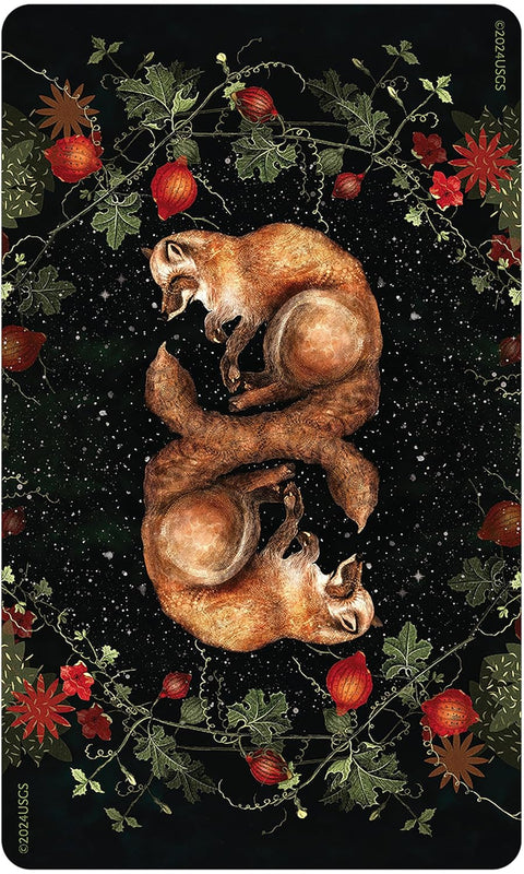 Dream Song Oracle US Games Systems