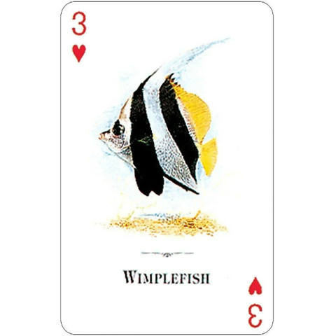 Aquarium Fish of the Natural World Playing Cards Deck by US Games