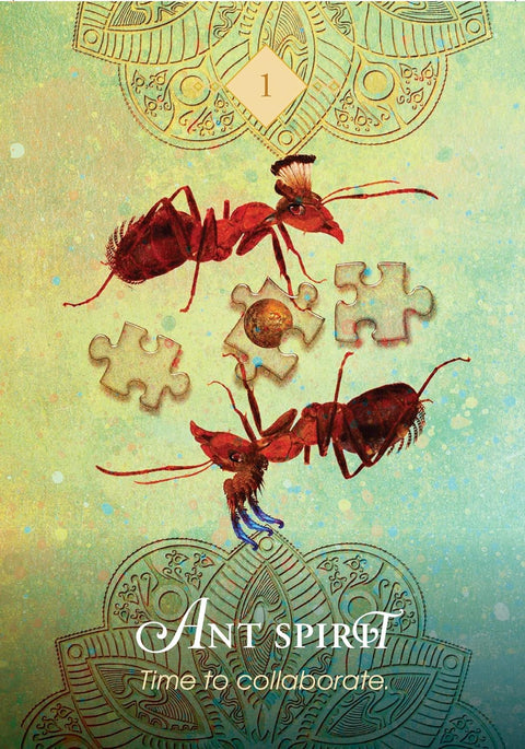 The Spirit Animal Pocket Oracle Cards Deck And Guidebook Tin Box Hay House