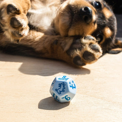 Dogs Dice Set: Max Modern Blue Dog Lovers Role Playing Games Q-Workshop NEW