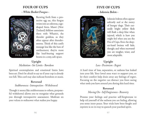 Midnight Magic Mushroom Tarot Card Deck by Sara Richard Adams Media
