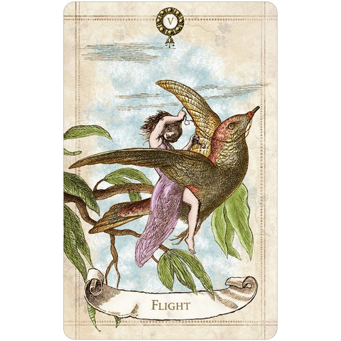 Vintage Oracle Card Deck by US Games with Guidebook for Divination