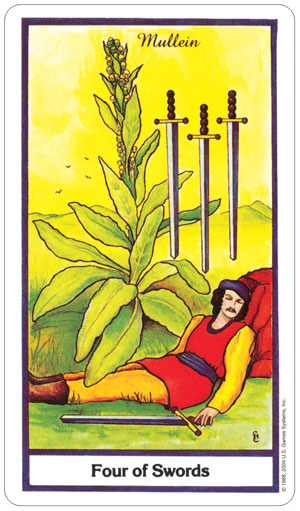 The Herbal Tarot Deck by Michael Tierra Candis Cantin 78 Cards US Games