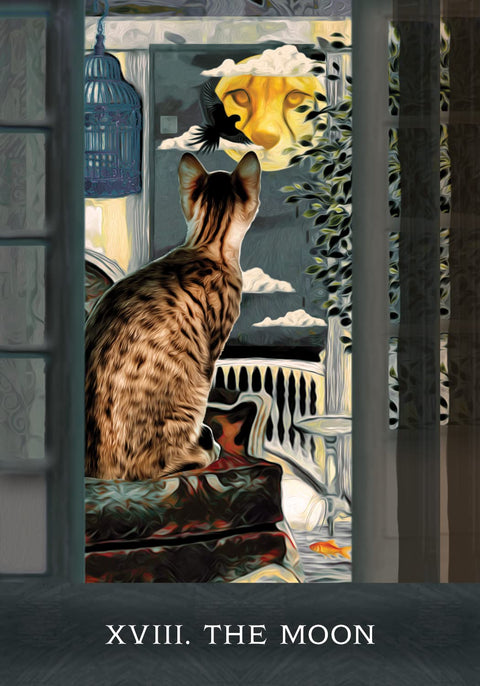 Grimalkin'S Curious Cats Tarot Cards Deck & Guidebook