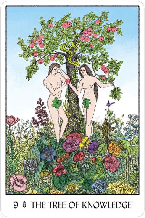 Oracle Of The Trees Cards Deck US Games Systems Esoteric Francesca Valente Oot32