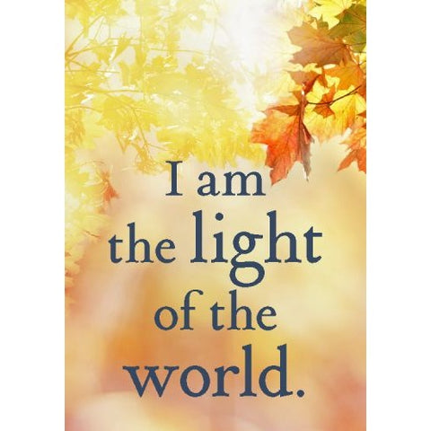 Everyday Miracles Oracle Card Deck Of Lessons From A Course In Miracles