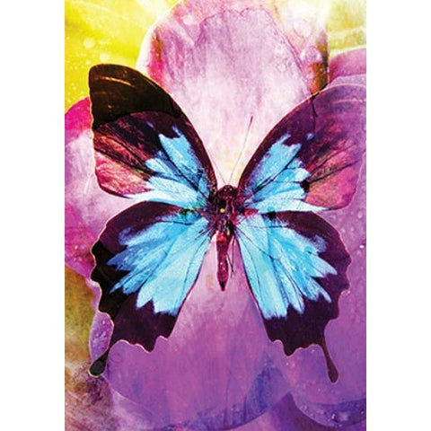 Butterfly Affirmations Oracle Cards Deck by Alana Fairchild 44 Cards