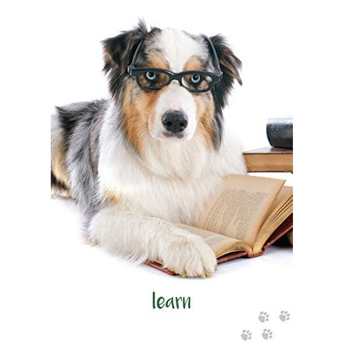 Dog Wisdom Oracle Cards Deck with Guidebook by Blue Angel 45 Card Set