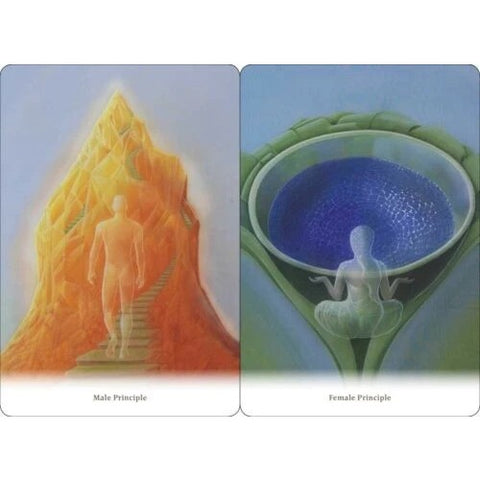 Body Healing Cards Deck Findhorn Press Esoteric Ewald Kliegel Awareness
