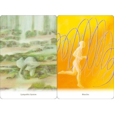 Body Healing Cards Deck Findhorn Press Esoteric Ewald Kliegel Awareness