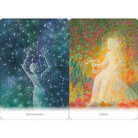 Body Healing Cards Deck Findhorn Press Esoteric Ewald Kliegel Awareness