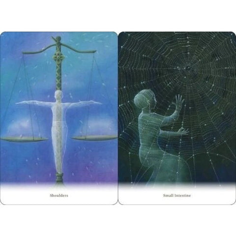 Body Healing Cards Deck Findhorn Press Esoteric Ewald Kliegel Awareness