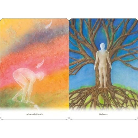 Body Healing Cards Deck Findhorn Press Esoteric Ewald Kliegel Awareness
