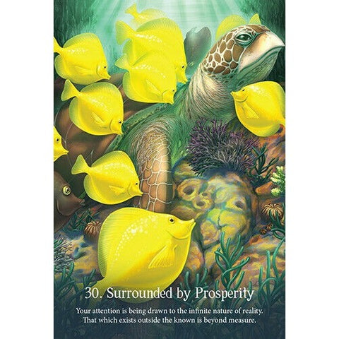 Whispers Of The Ocean Oracle Cards Deck Esoteric Blue Angel Fortune With Bag