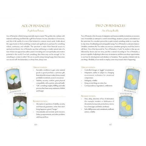 Insight Tarot Deck & Guidebook Set by Stanislav Reshetnikov Schiffer