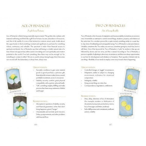 Insight Tarot Deck & Guidebook Set by Stanislav Reshetnikov Schiffer