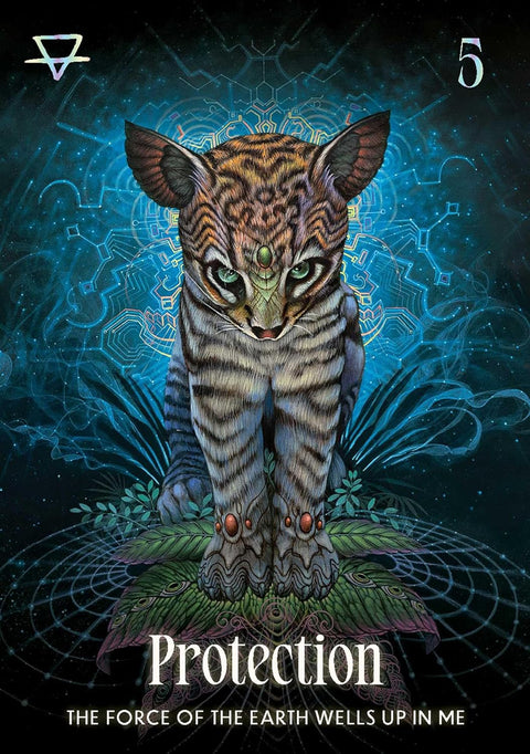 Shamanic Oracle Deck 44 Cards & Guidebook by Rockpool Publishing