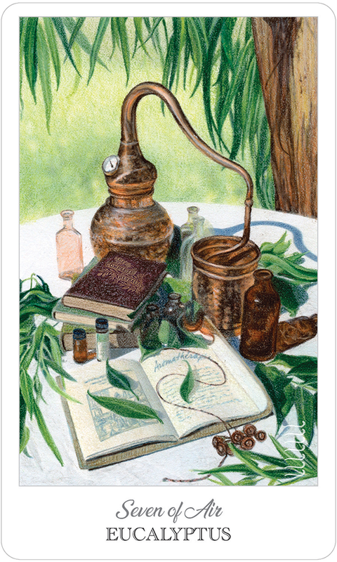 Herbcrafter's Tarot 78-Card Deck & Guidebook Set by US Games Systems