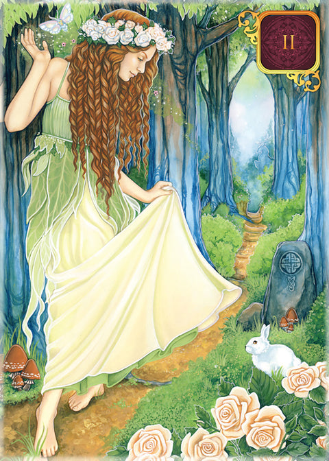 Pocket Dreams of Gaia Tarot Deck 81 Cards by Ravynne Phelan Blue Angel