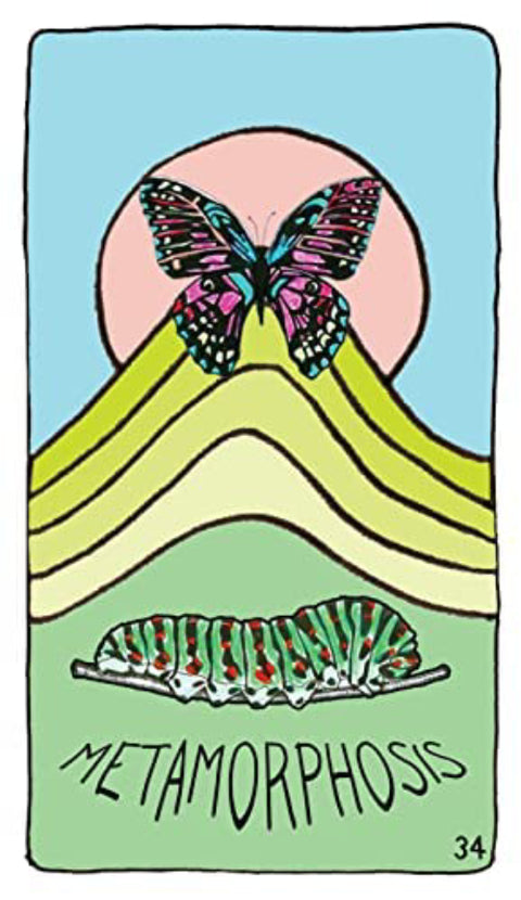 Animal Apothecary Oracle Card Deck And Guidebook Manifestation